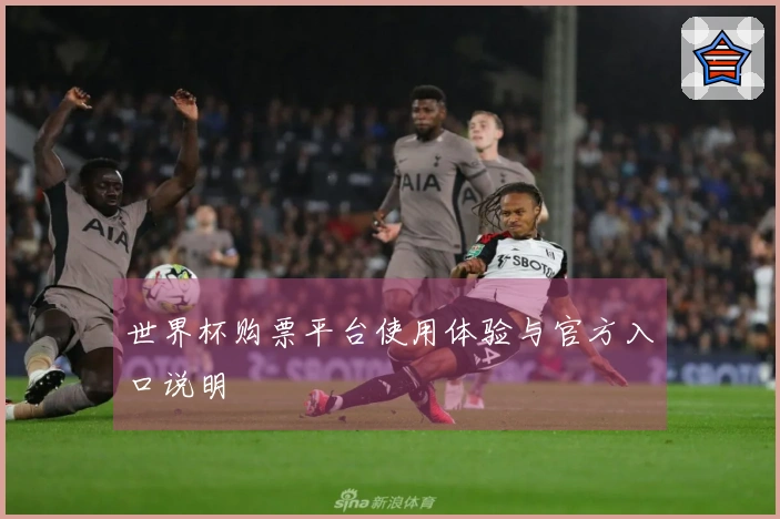 世界杯购票平台使用体验与官方入口说明