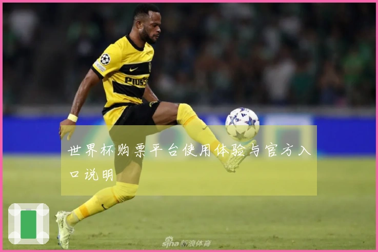 世界杯购票平台使用体验与官方入口说明