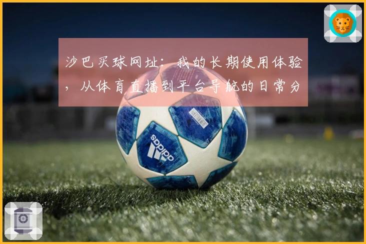沙巴买球网址：我的长期使用体验，从体育直播到平台导航的日常分享