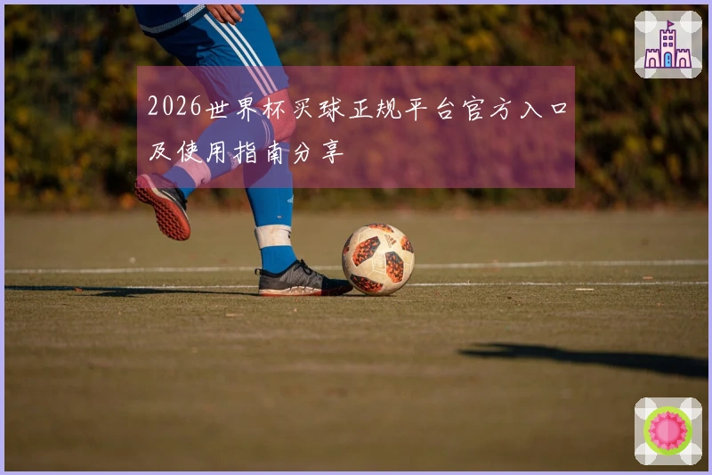 2026世界杯买球正规平台官方入口及使用指南分享