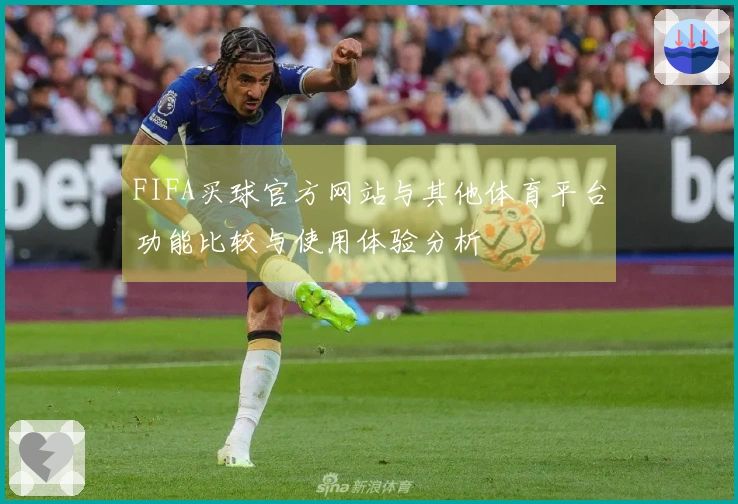 FIFA买球官方网站与其他体育平台功能比较与使用体验分析