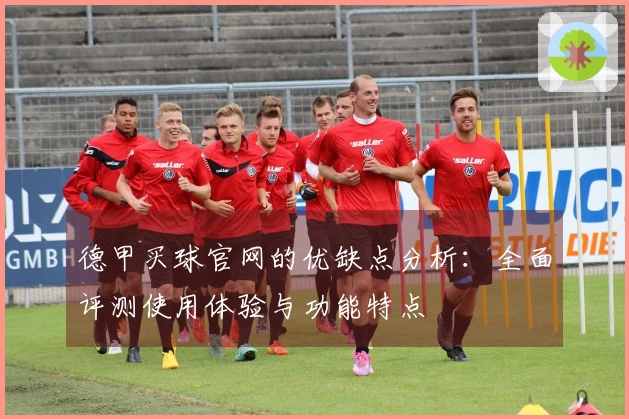 德甲买球官网的优缺点分析：全面评测使用体验与功能特点